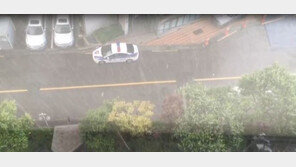 [영상]맑게 갠 서울 하늘에서 느닷없는 우박 세례 …계절의 여왕 5월 시샘? 