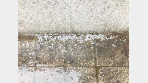 난데없는 ‘서울 우박’ 왜?…기상청 “더워진 날씨 때문”