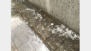 서울에 요란한 우박, 예보 없었는데? 기상청에 이유 물어보니… 