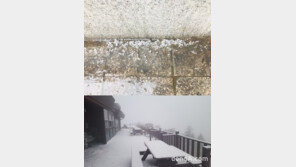 서울은 우박→번개→햇빛 반복, 누리꾼 “토르 왔냐?”…설악산은 ‘눈’ 소복