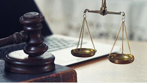 프랑스닷컴 도메인 놓고 '개인 VS 프랑스 정부' 법정 다툼