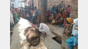 ‘소똥’으로 온몸 묻은 女, 질식사…민간요법 맹신했다 참변