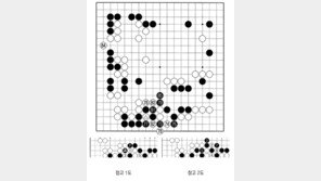 [바둑]알파고 vs 알파고 특선보… 죽이 되든 밥이 되든