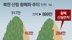 [단독]종자-묘목 보내 숲 살리고 기후변화-지진 공동연구