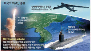 주한미군 다음엔 핵우산 철폐 이슈?