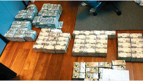 금괴 밀수범 집에 현금 100억