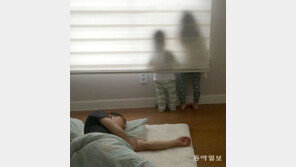 [고양이 눈]이른 어버이날 선물?