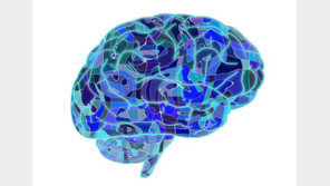 [인공지능 in IT] AI, 넌 나만 바라봐