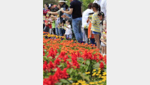 어린이날은 여름 시작 ‘입하’(立夏)…초여름 날씨·미세먼지 기승 