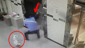 [영상]강아지 살린 택배기사의 순발력…연이은 ‘택배 히어로’ 등장에 찬사