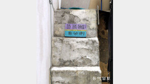 [고양이 눈]올라가지 마세요!