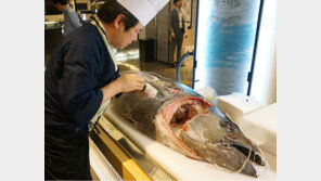 현대百, 길이 2m 참다랑어 해체쇼