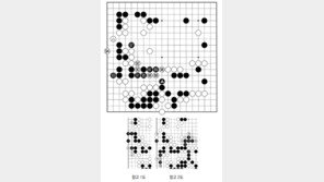 [바둑]알파고 vs 알파고 특선보… 활로가 눈에 띄지 않는다