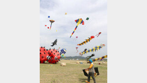 “하늘 높이 날아라”… 의성에 모인 세계 연