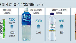 농산물 이어 음료수 값도… 심상찮은 먹거리 물가