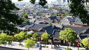 [전라도 천년]아! 뜨거운 생명력이여… 황토 빛 들판에 ‘천년花’가 피었네