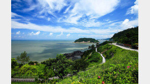 [전라도 천년]맛-인심-정취… 전라남도에 다 있네