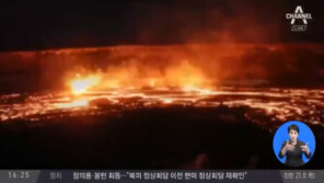 “가옥 26채, 집어 삼켜”…하와이 화산, 용암 분출
