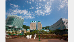 강원랜드 채용비리 피해자 6월 말까지 225명 채용