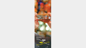 [단독]도수 낮은 위스키의 반란… 톱10 중 절반이 순한맛