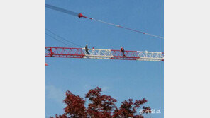 [고양이 눈]오늘, 너를 보고싶다