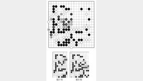 [바둑]알파고 vs 알파고 특선보… 눈물겨운 사투