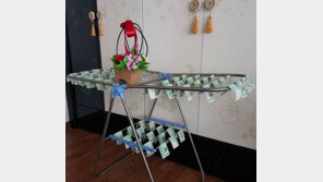 “현금 걸려있는 빨래건조대” 어버이날, 부모님 위한 이색 선물 인기 