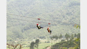 여주 챌린지어드벤처 파크,  ‘가구 수 만큼 행복 만땅’ 할인이벤트