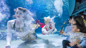 한화 아쿠아플라넷, 가정의 달 프로모션