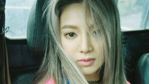 비트 제대로 탄 ‘DJ효’