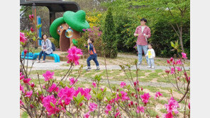 가족과 함께 비눗방울 놀이