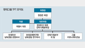 남북해빙에 현대그룹 기지개… 현정은회장, 경협TF 진두지휘