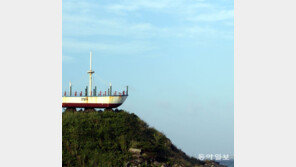 [고양이 눈]사공이 너무 많아서?