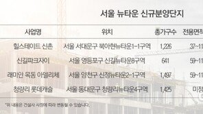 정부 규제 불구 ‘서울 뉴타운’ 관심↑… “올해 1만681가구 쏟아져”