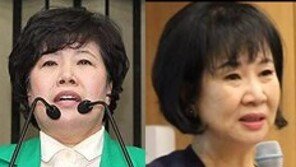 조배숙 “文대통령 1년, 낙제” 손혜원 “저 정도 정치 감각으로…참”