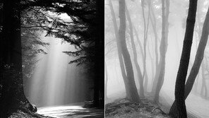 ‘풍경택배작가’ 김도형 사진전 ‘풍경이 마음에게’