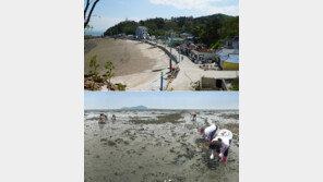 [김재범의 투얼로지] 해변길 걷고 바지락 캐고…서해가 부른다