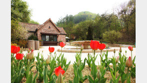 춘천 제이드가든, 수목원 체험 이벤트