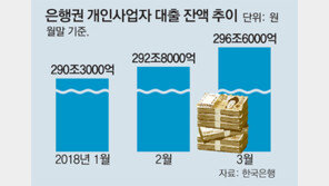 “개인사업자 대출 받아서 다른 곳 쓰는지 점검 강화”