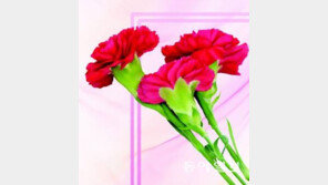 [퇴근길 사회] “차라리 쉬는 게 낫습니다” 스승의 날 휴업하는 학교들