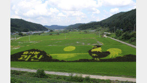 [양형모의 공소남닷컴] ‘부자 공동체마을’의 비밀을 아십니까?