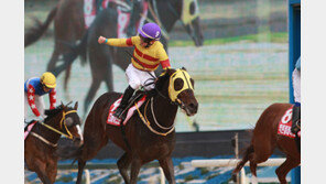 메니피 혈통의 장기 집권이냐…새로운 명마 왕조의 탄생이냐