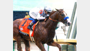 [콤팩트뉴스] 미국 켄터키더비 ‘저스티파이’ 우승 外