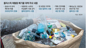 자율규제하던 대형마트-슈퍼 비닐봉투, 법으로 의무화해 금지