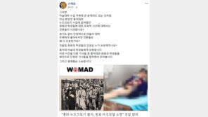 동료 여성 모델이 범인, 홍대 선배 손혜원 “학생 범법자 단정 언론 사과해야” 