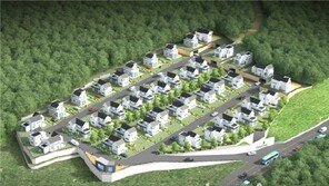 ‘안성파인뷰’ 타운하우스, 40가구 분양