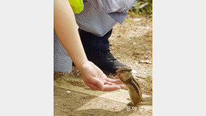 [고양이 눈]집들이 선물