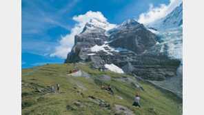 [조성하 여행 전문기자의 休]알프스의 여름, 꿈길같은 초원 하이킹