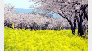 직장인들 가장 살고 싶어하는 ‘꿈의 도시’ 1위는 서울 강남 아닌 ‘이곳’