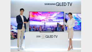 월드컵 특수 대형TV 승부수…반짝 인기 우려도